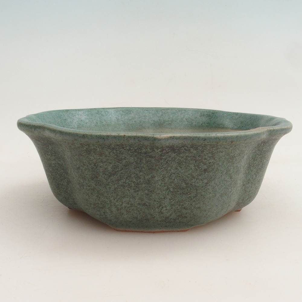 Bonsai bowl H16 - 14,5 x 14,5 x 5 cm.