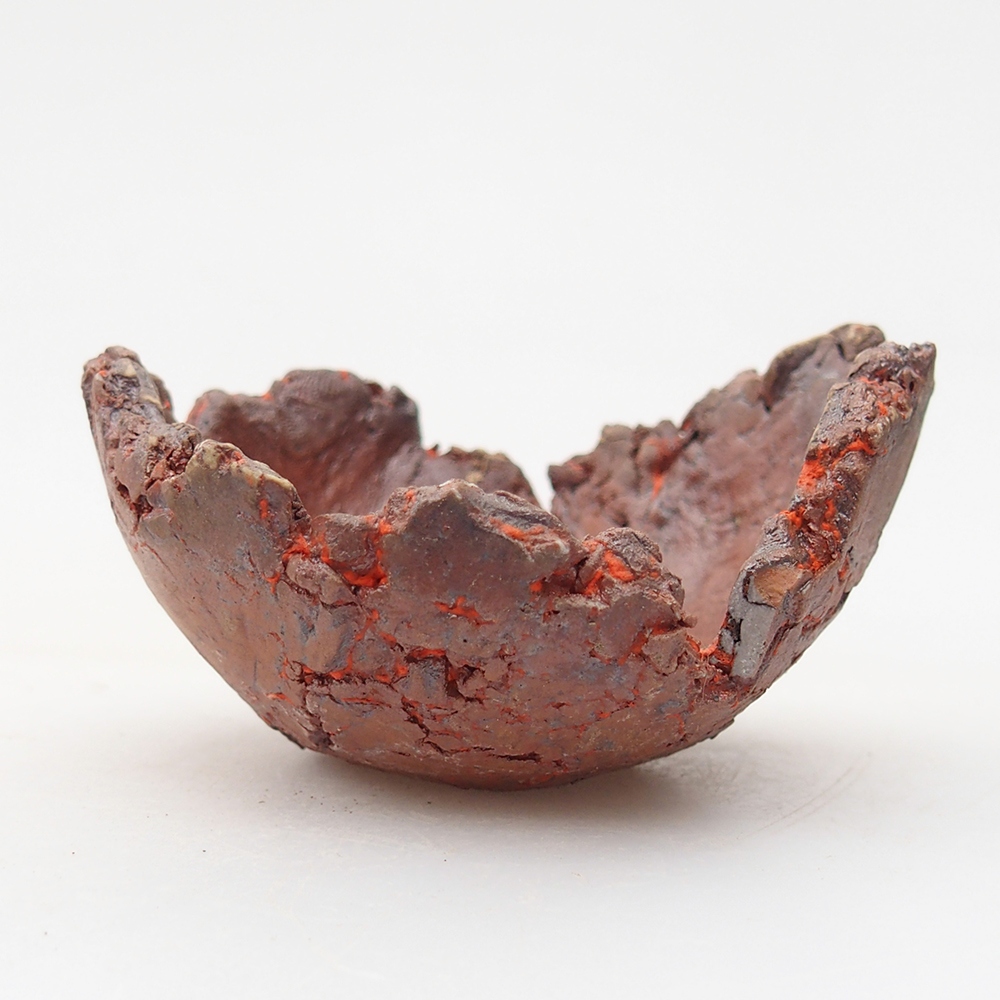 Ceramiczna muszla 7 x 7 x 4 cm, kolor pomarańczowy