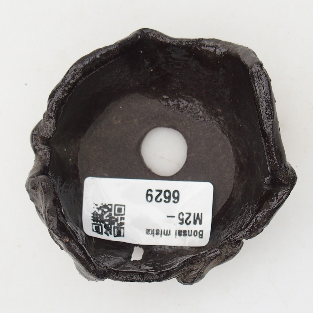 Ceramiczna muszla 7 x 7 x 5 cm, kolor czarny