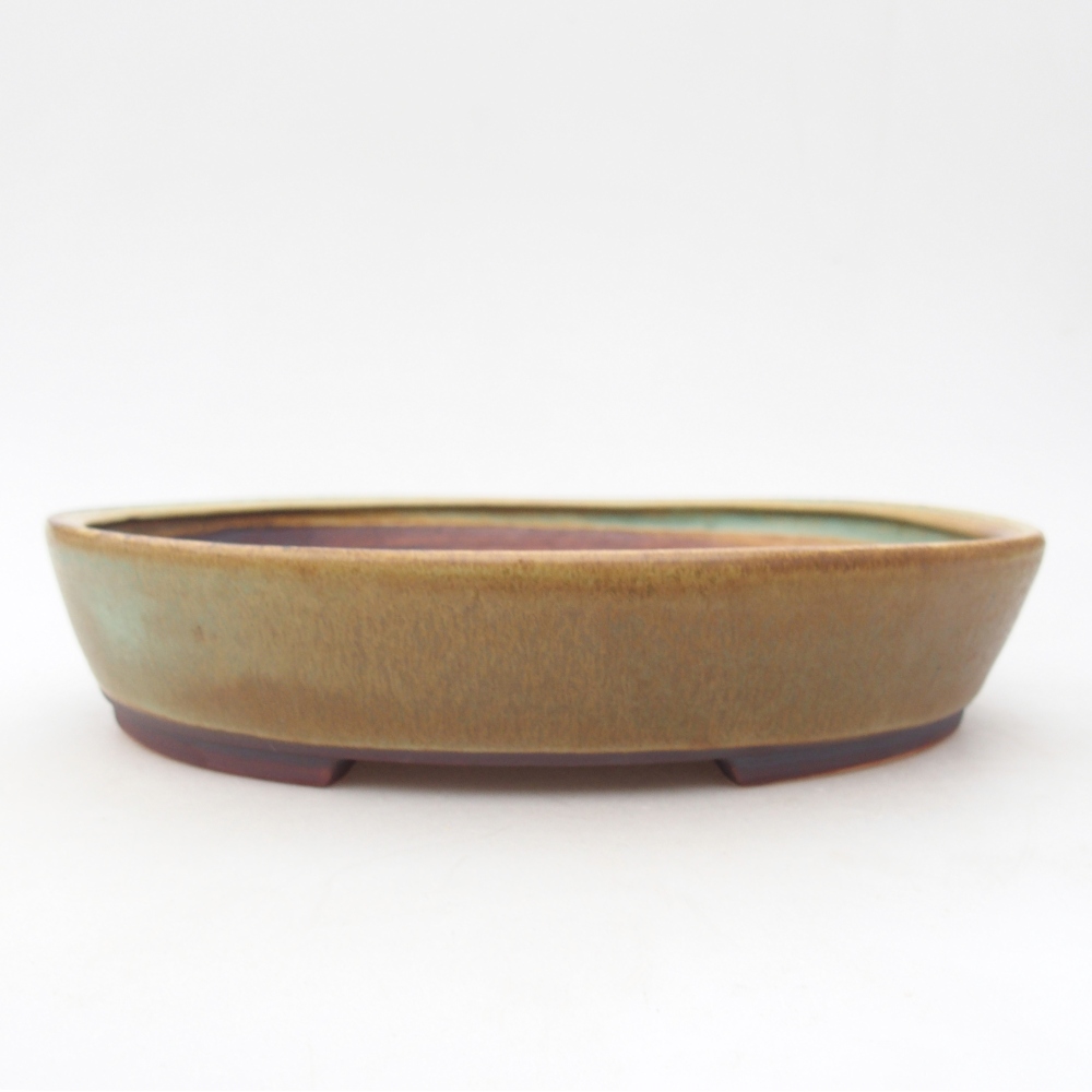 Ceramiczna miska do bonsai 22,5 x 20 x 4,5 cm, zielona