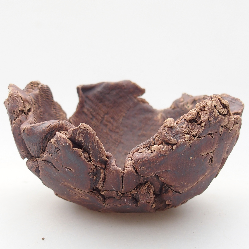 Muszla ceramiczna 10 x 9,5 x 6 cm, kolor brązowy