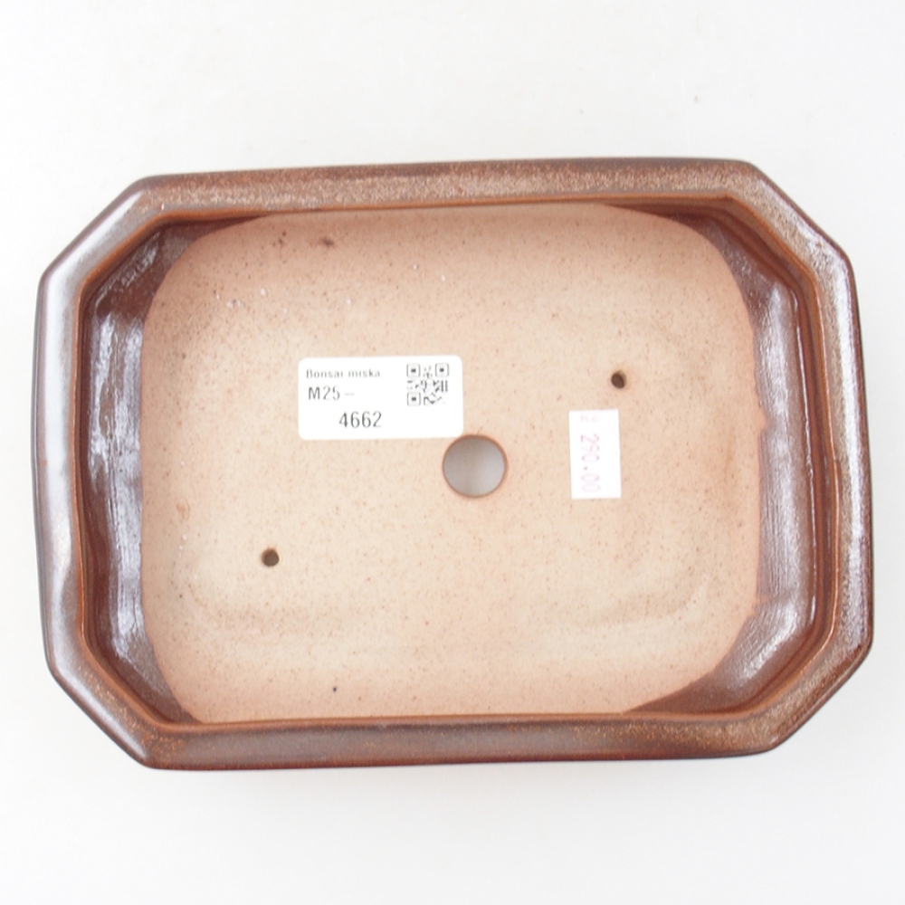 Ceramiczna miska bonsai 19 x 13,5 x 4,5 cm, kolor brązowy