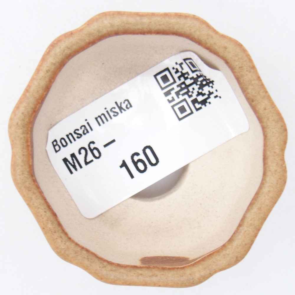 Mini miska do bonsai 4,5 x 4,5 x 2,5 cm, brązowa