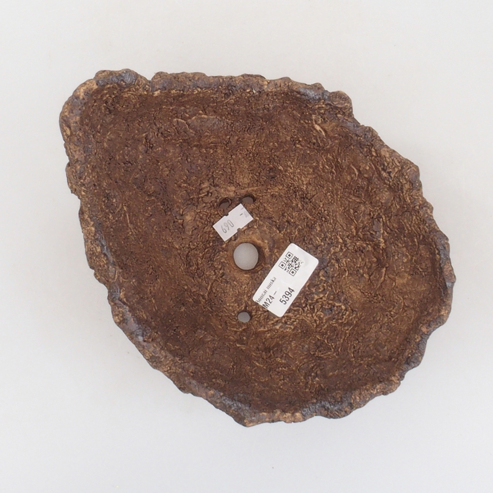 Muszla ceramiczna 17,5 x 15 x 15,5 cm, kolor brązowy