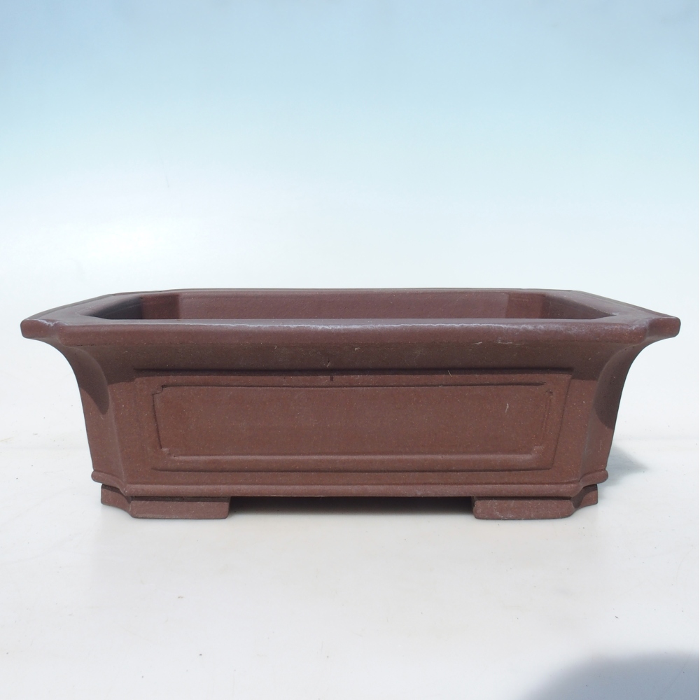 Misa bonsai 35,5 x 36,5 x 11 cm brzoza brązowa