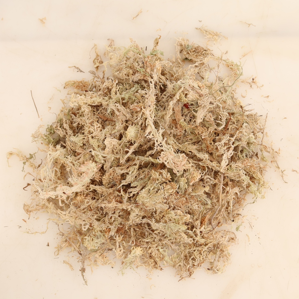 Sphagnum – torfowiec 150 g
