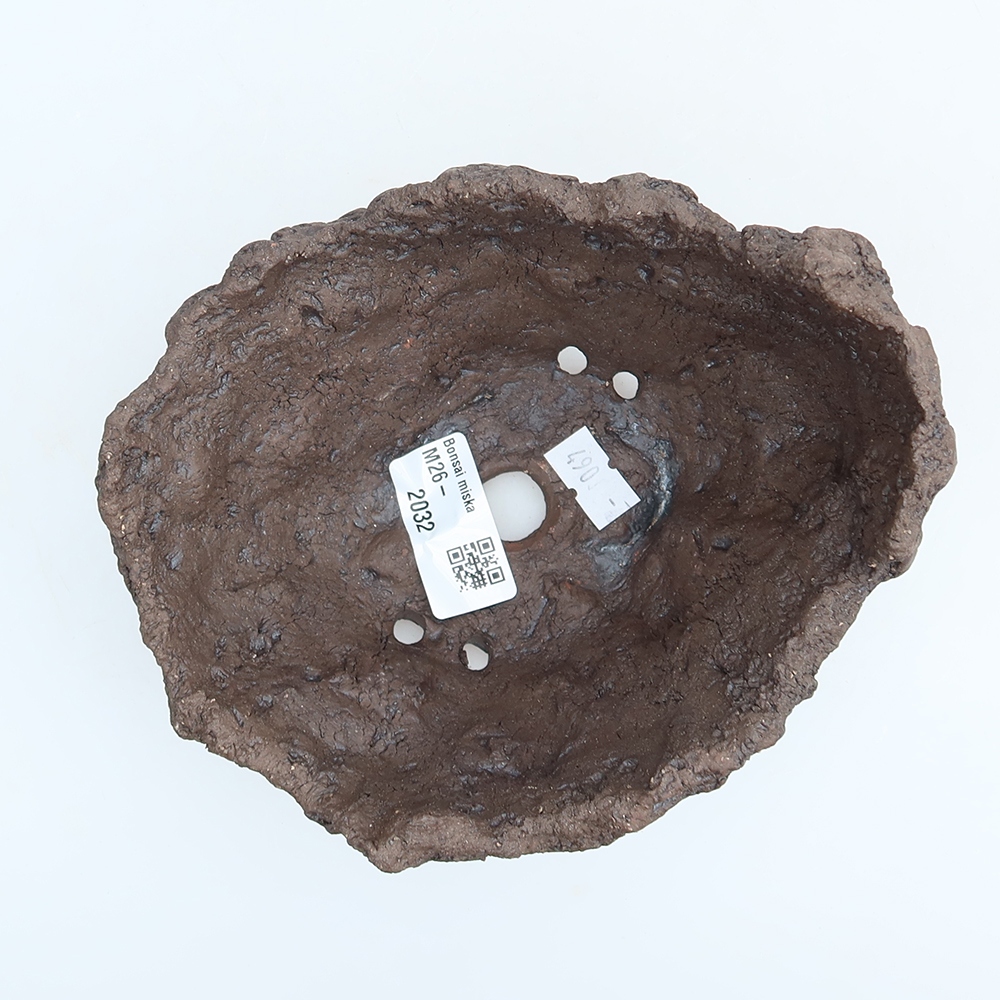 Ceramiczna skorupa 14 x 12 x 11 cm, kolor brązowy