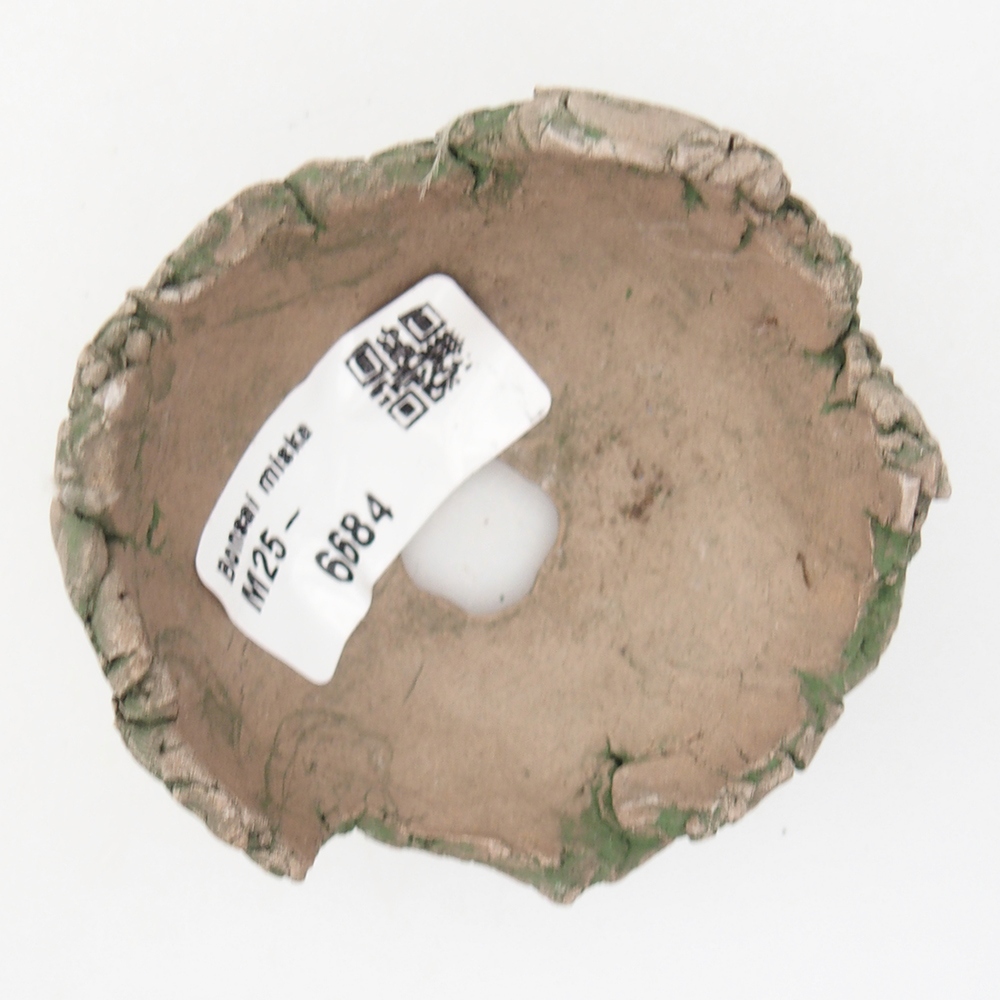 Ceramiczna muszla 7 x 7 x 4 cm, kolor zielony