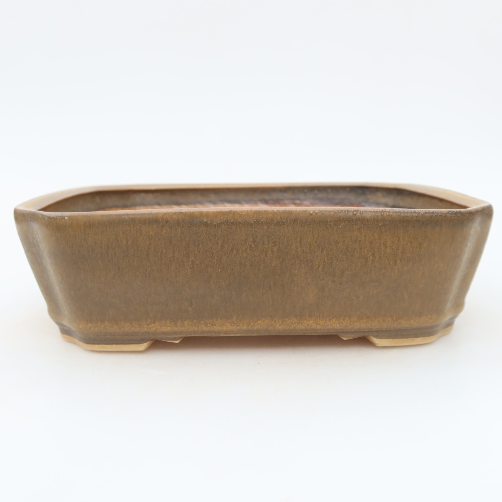 Ceramiczna doniczka do bonsai 21,5 x 18 x 6 cm, kolor brązowy