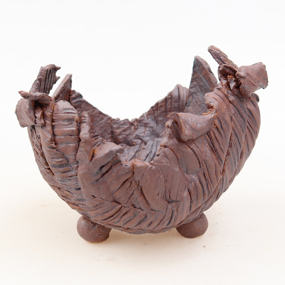 Ceramiczna skorupa  10,5 x 9,5 x 9 cm, kolor brązowy