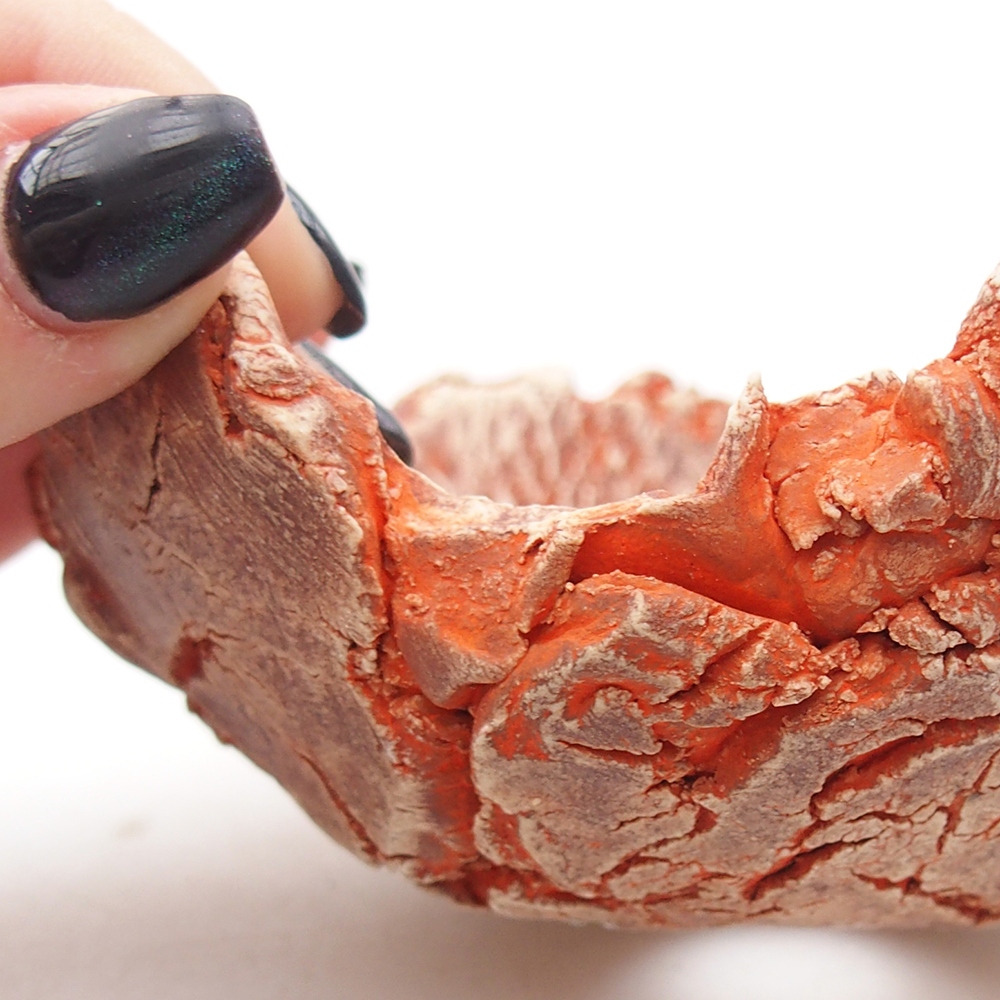 Muszla ceramiczna 11 x 11 x 5 cm, kolor pomarańczowy