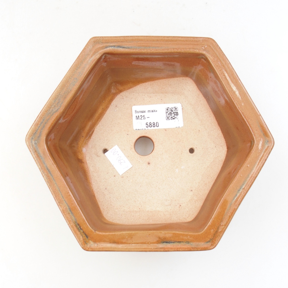 Ceramiczna miska bonsai 17 x 15 x 6 cm, kolor brązowy