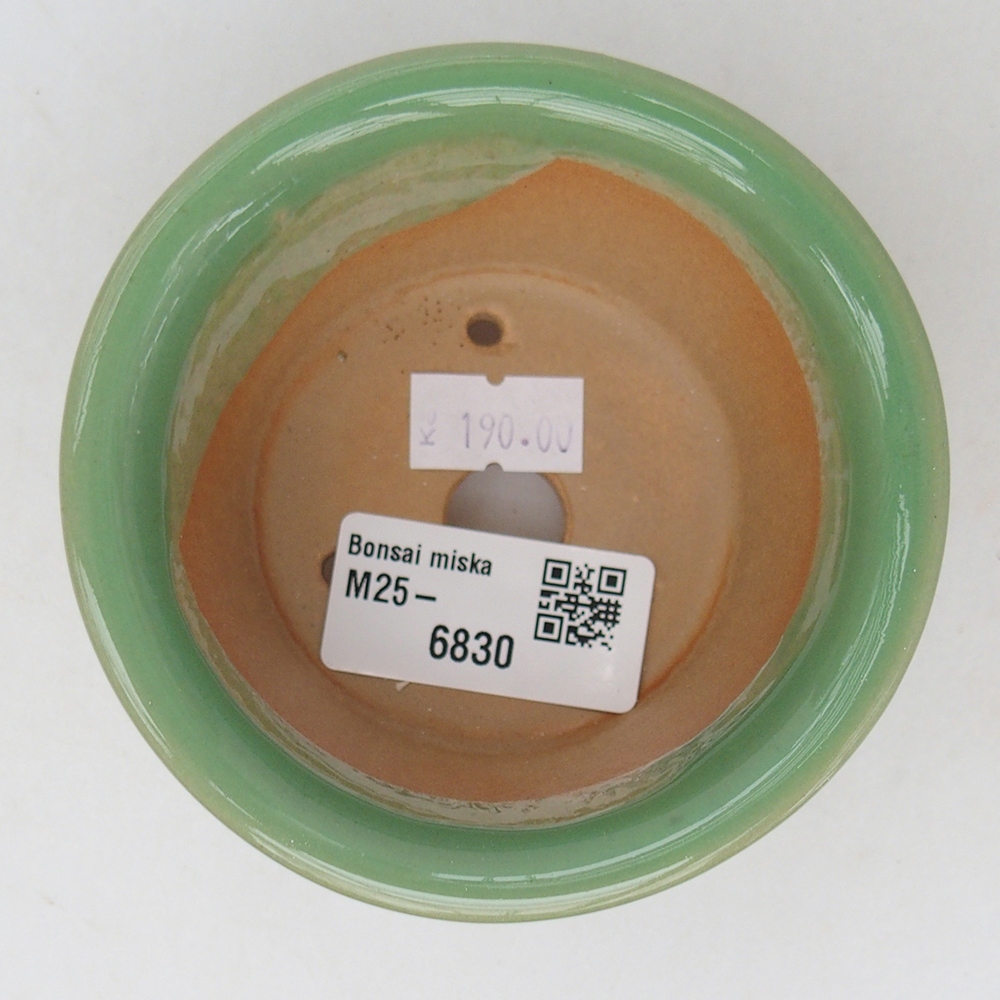 Ceramiczna miska na bonsai 9 x 9 x 5 cm, zielona