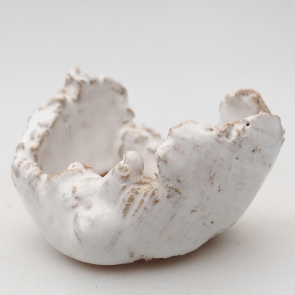 Muszla ceramiczna 7 x 6,5 x 5 cm, kolor biały