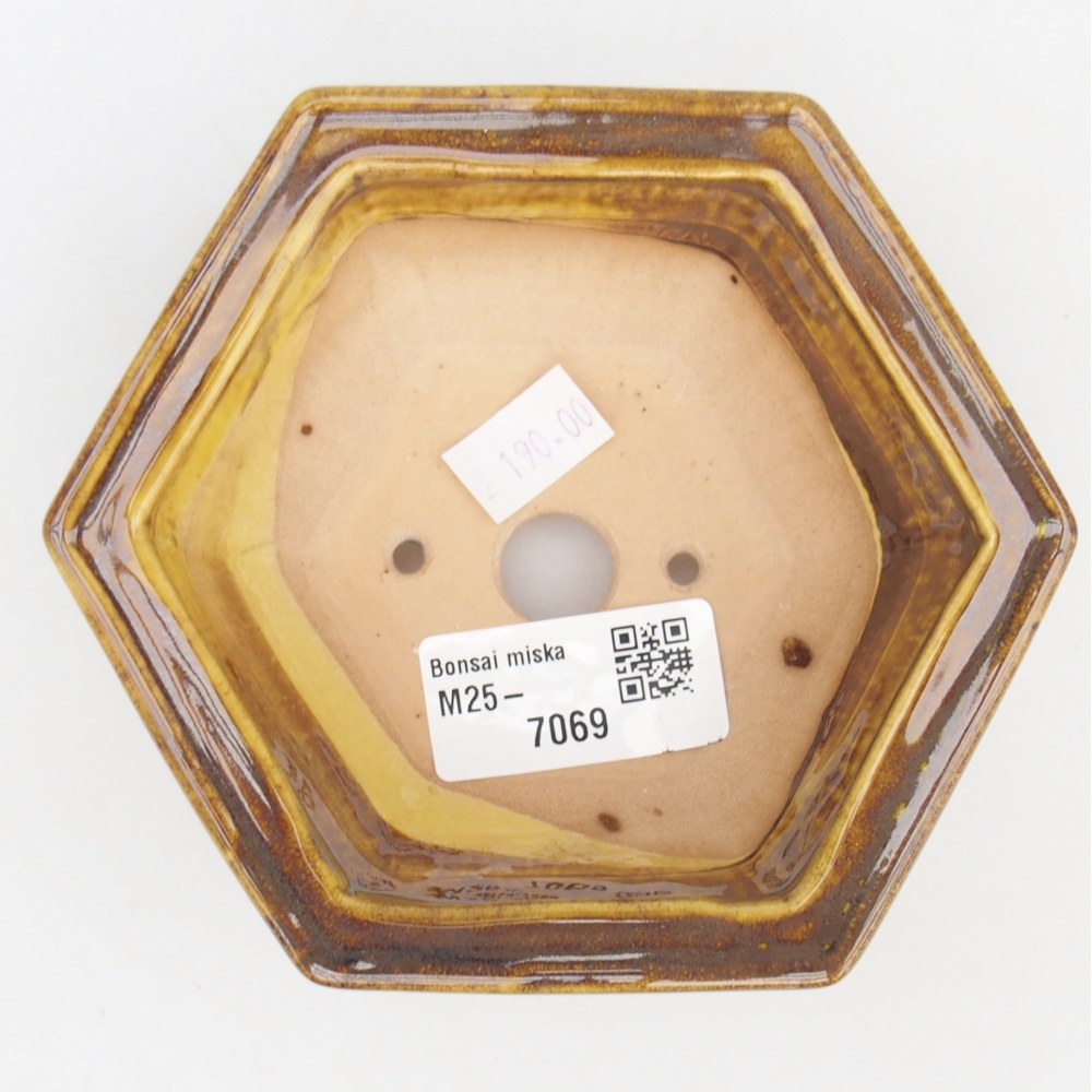 Ceramiczna miska do bonsai 12 x 10,5 x 4,5 cm, żółta