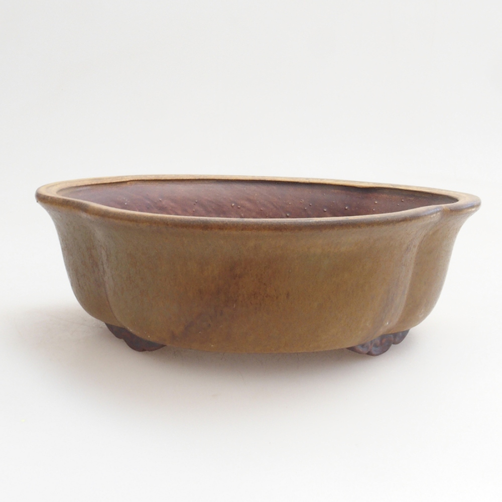 Ceramiczna miska do bonsai 18 x 17 x 6 cm, kolor brązowy