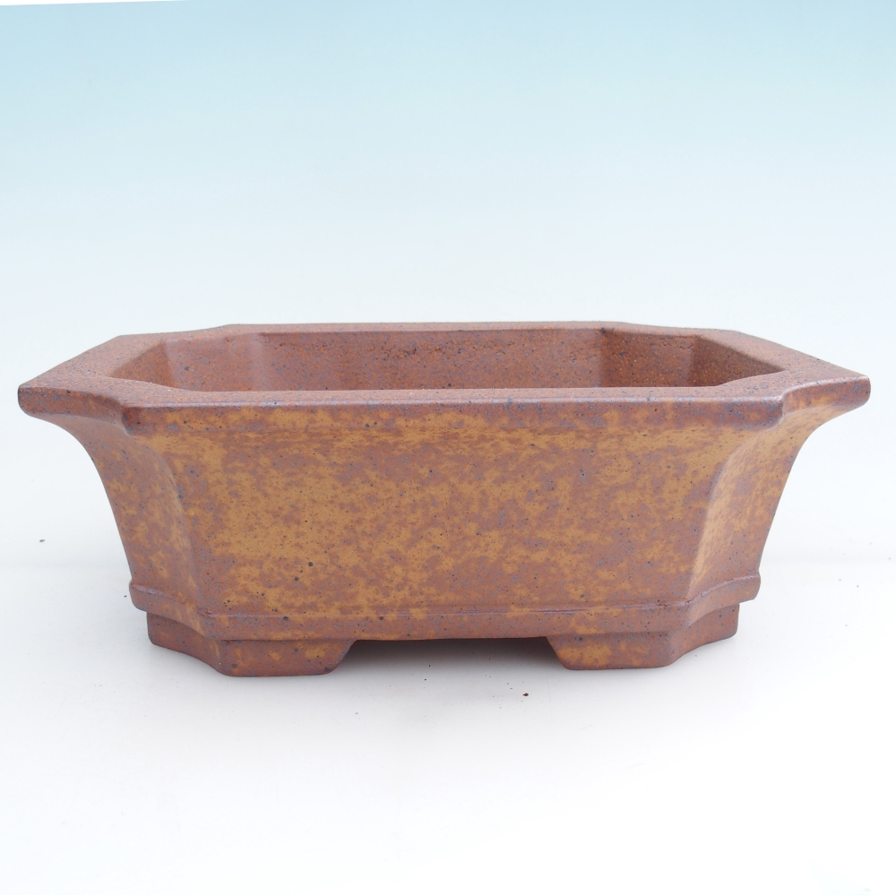 Ceramiczna miska do bonsai 23,5 x 17,5 x 8,5 cm, brązowa