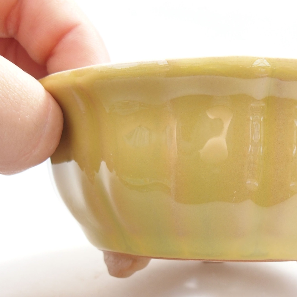 Ceramiczna miska bonsai 11,5 x 11,5 x 5 cm, kolor Żółty