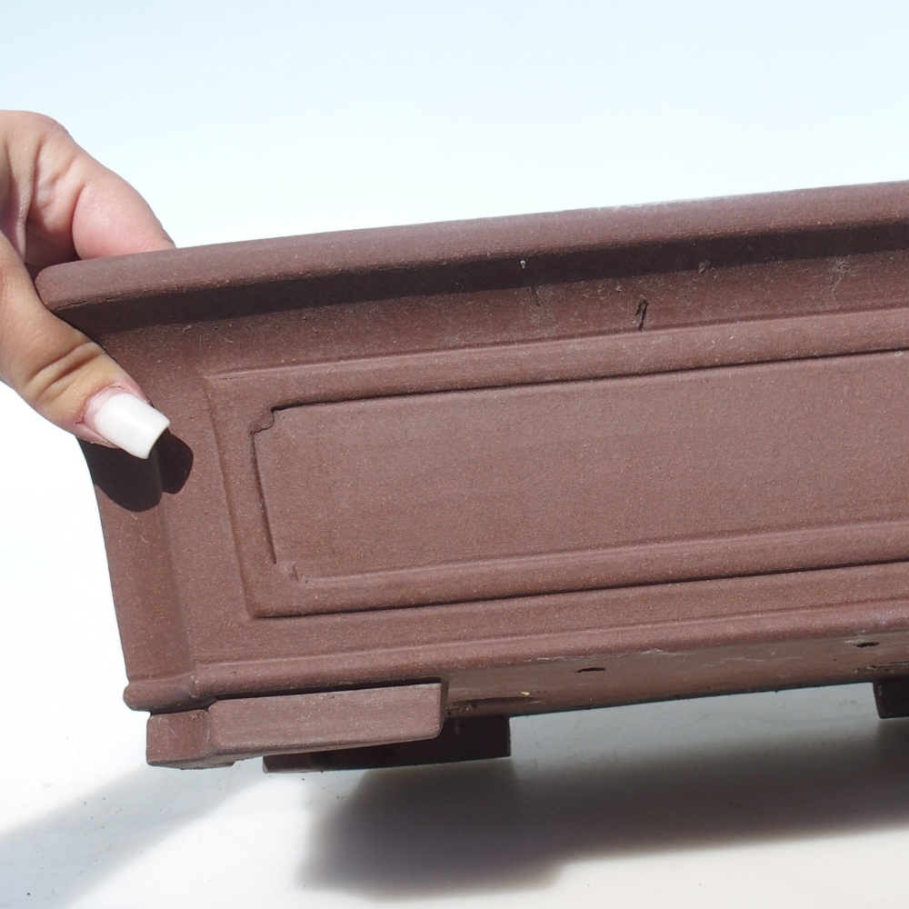 Misa bonsai 35,5 x 36,5 x 11 cm brzoza brązowa