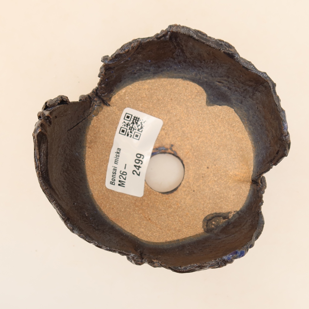Ceramiczna skorupa  10 x 9,5 x 6,5 cm, kolor czarno-niebieski