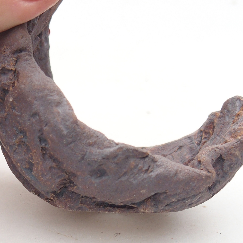 Ceramiczna muszla 6,5 x 6 x 7,5 cm, kolor brązowy