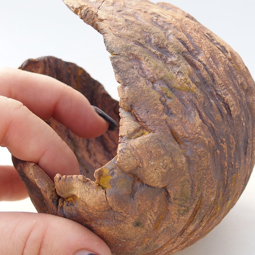 Ceramiczna muszla 10 x 9,5 x 10 cm, kolor brązowy