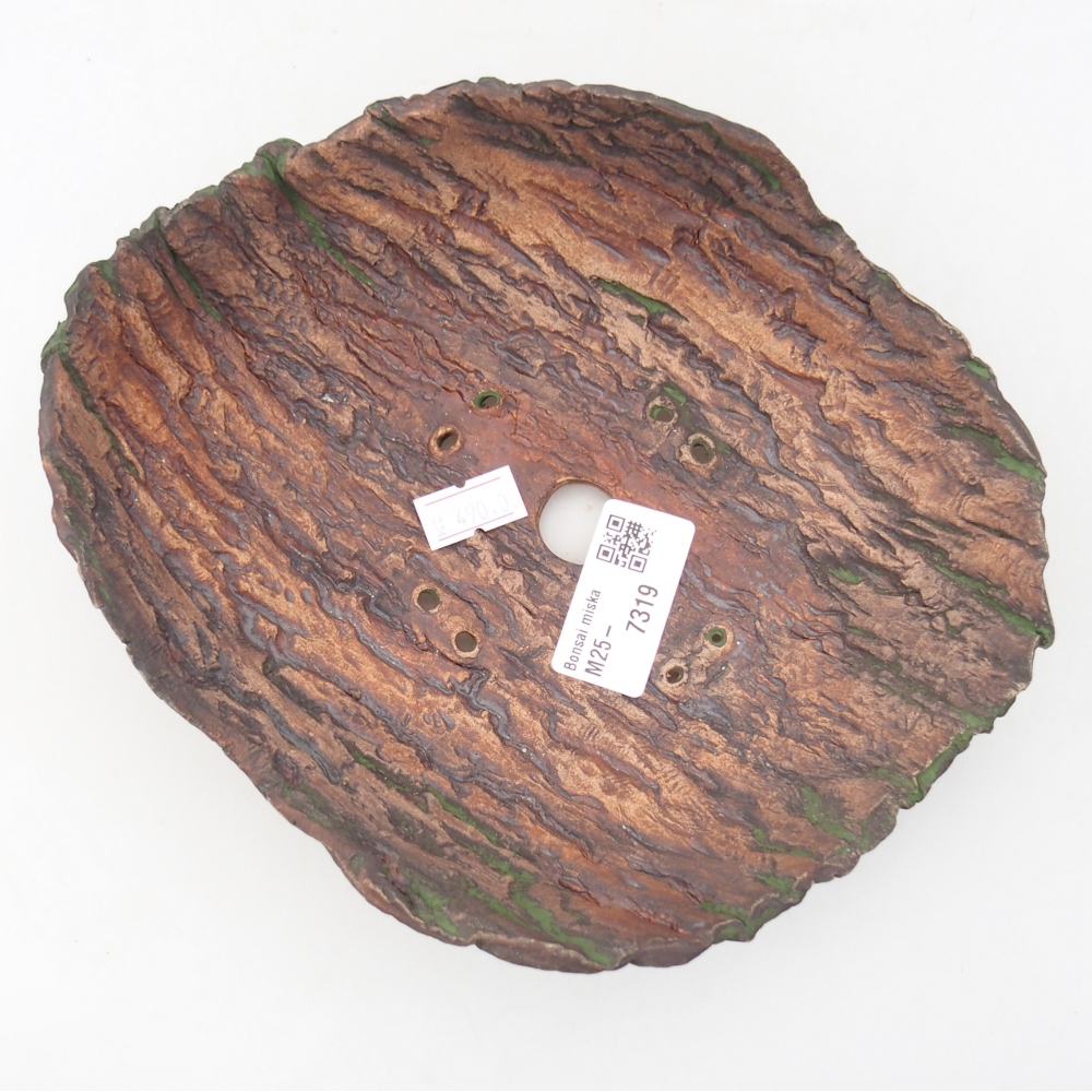 Ceramiczna muszla 20 x 16 x 6,5 cm, kolor zielony