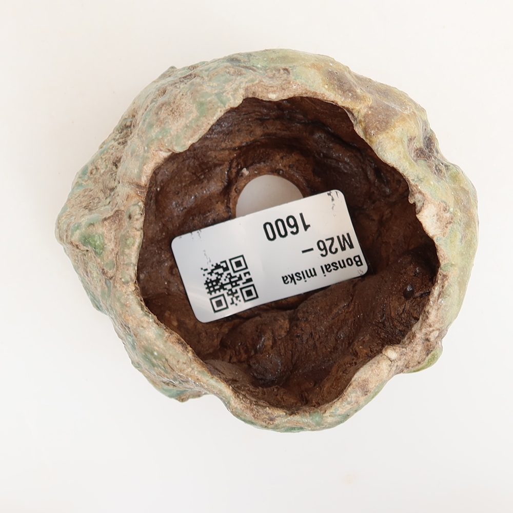 Ceramiczna skorupka  5,5 x 5,5 x 5,5 cm, kolor zielony