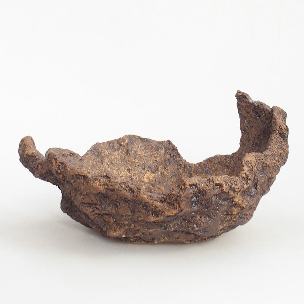 Ceramiczna skorupa 19 x 15 x 14 cm, kolor brązowy