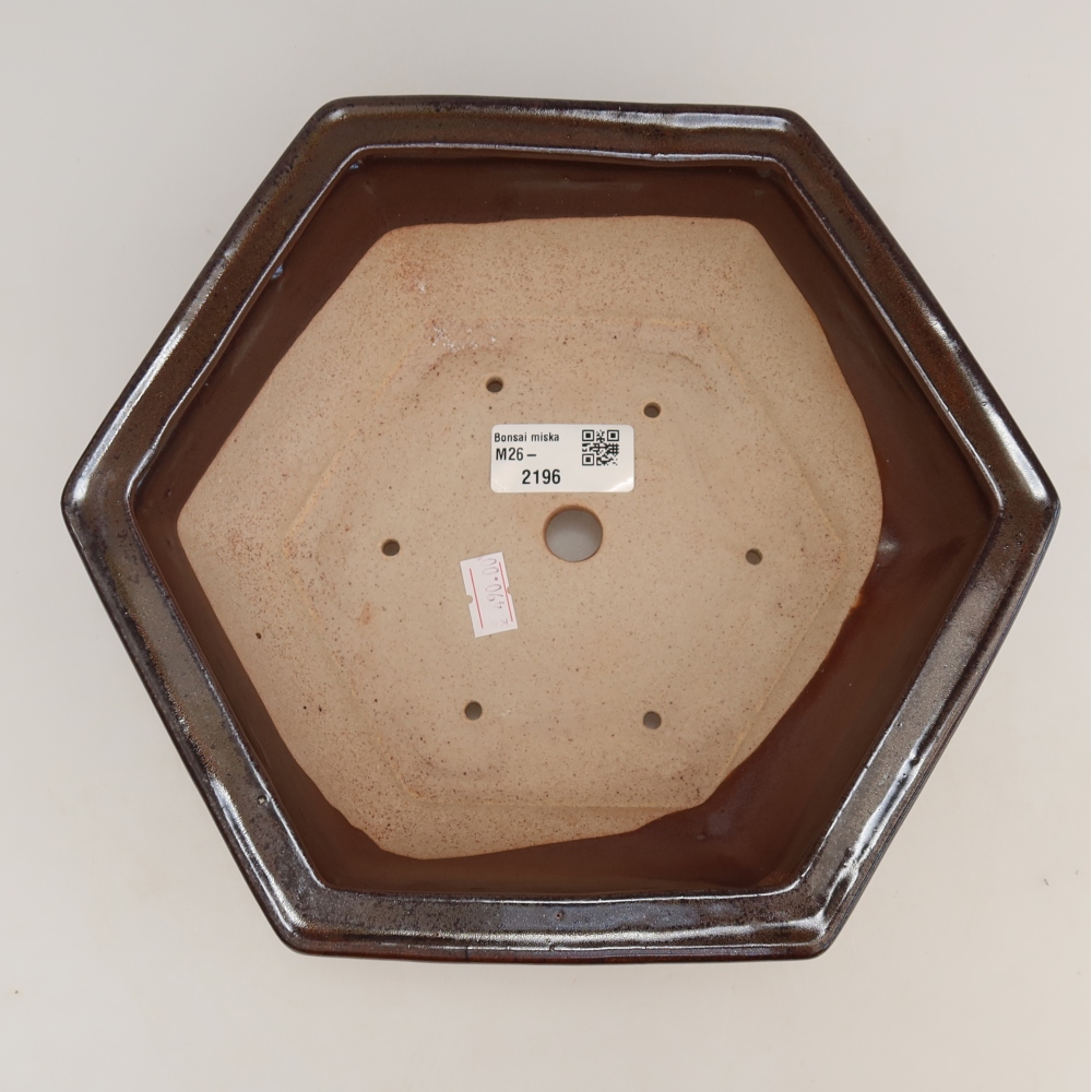 Ceramiczna miska do bonsai 24 x 21,5 x 7,5 cm, kolor brązowy