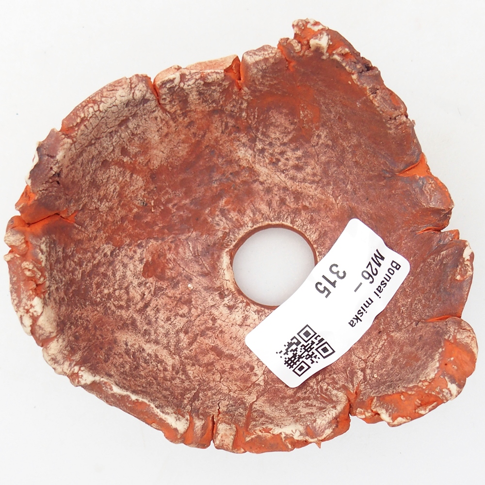 Ceramiczna skorupa 9,5 x 9 x 4 cm, kolor pomarańczowy