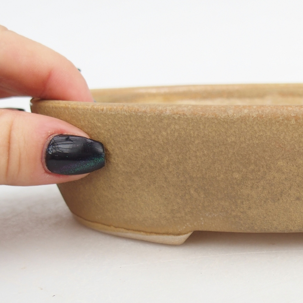 Ceramiczna miska na bonsai 17 x 14 x 4 cm, kolor beżowy