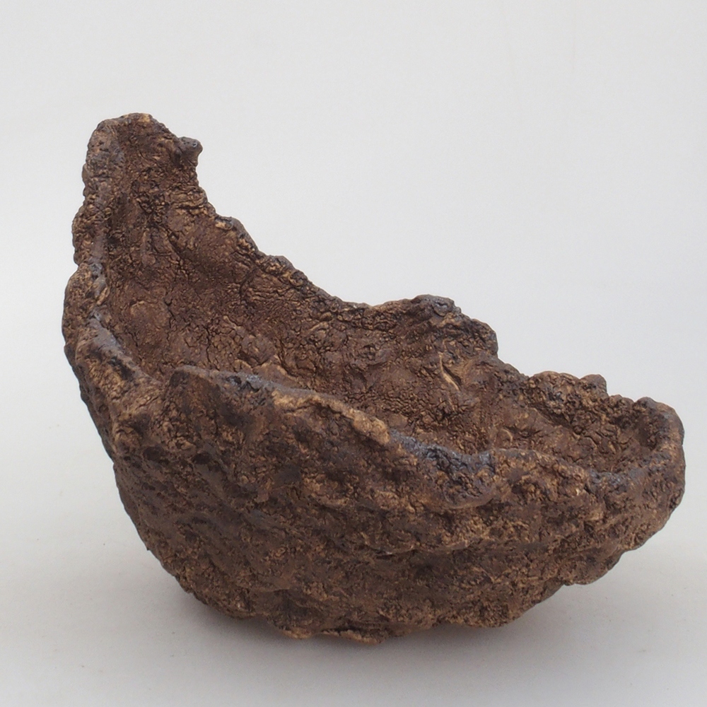 Muszla ceramiczna 17,5 x 15 x 15,5 cm, kolor brązowy