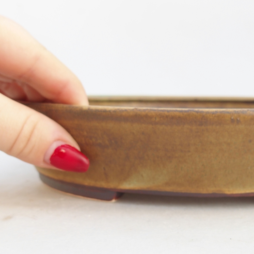 Ceramiczna miska do bonsai 21 x 19 x 4,5 cm, zielona