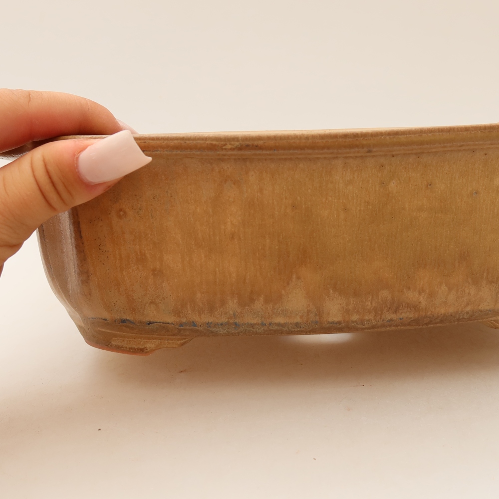 Ceramiczna miska do bonsai 24,5 x 21 x 7,5 cm, kolor beżowy