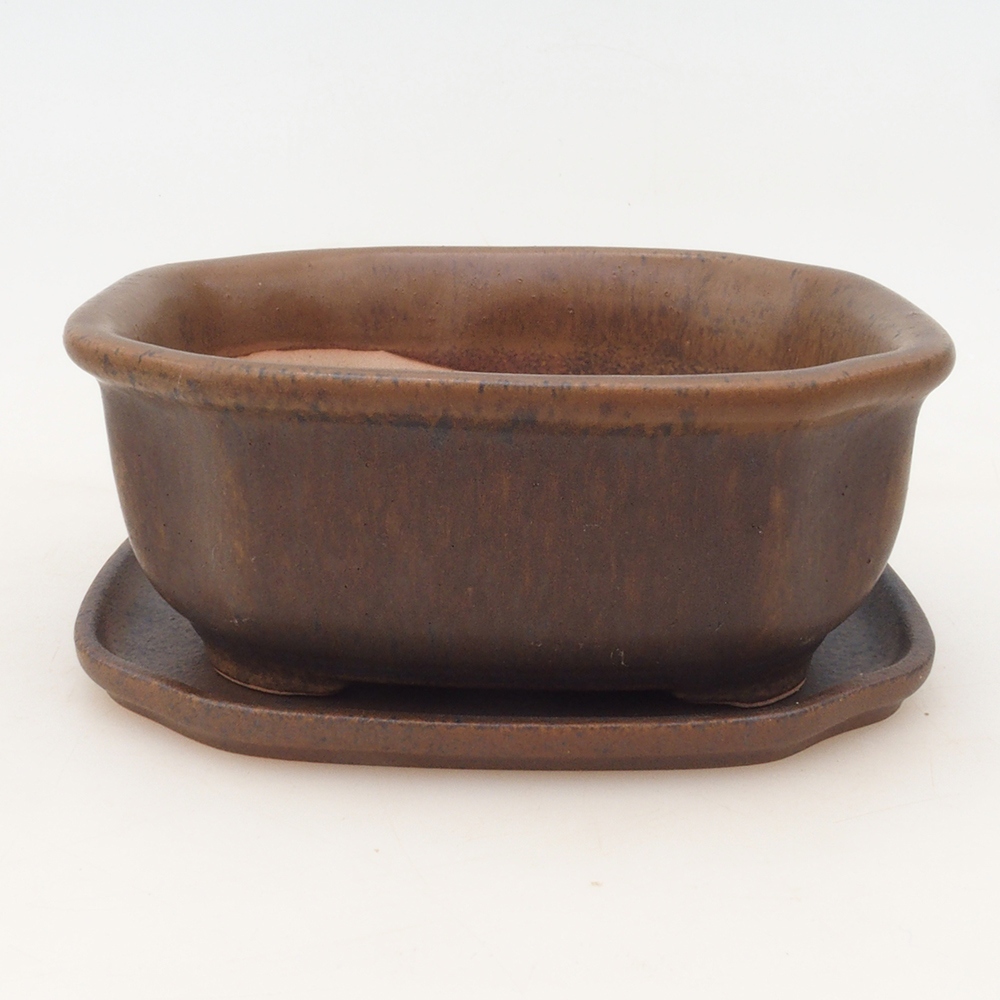 Bonsai bowl + spodek H32 - brązowy
