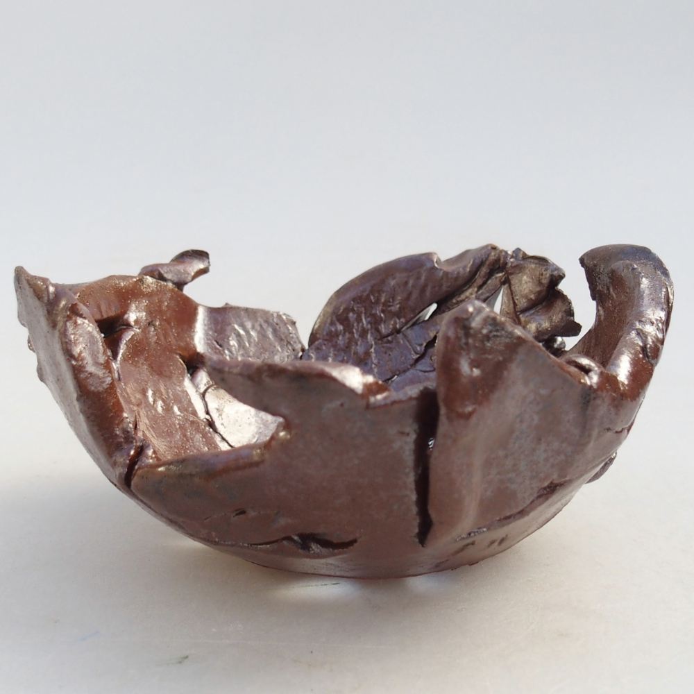 Muszla ceramiczna 10 x 10 x 5 cm, kolor brązowy