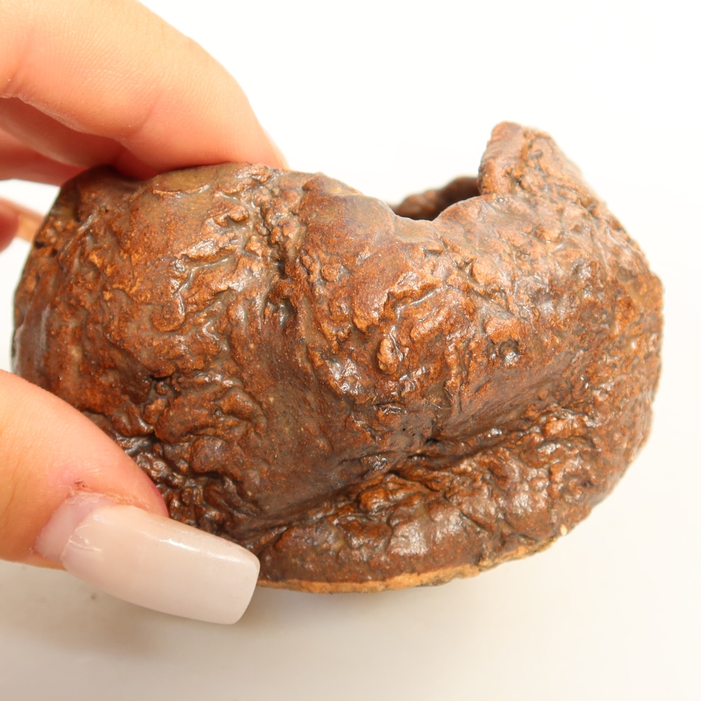 Ceramiczna skorupa  7 x 7 x 5,5 cm, kolor brązowy