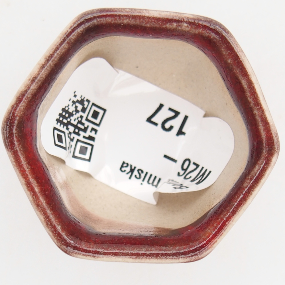 Mini miska do bonsai 4 x 4 x 3 cm, kolor czerwony