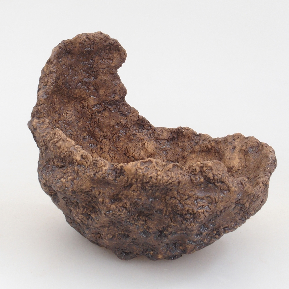 Muszla ceramiczna 10 x 8 x 10 cm, kolor brązowy