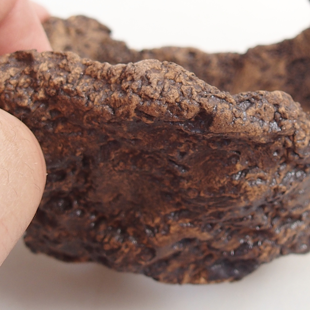 Ceramiczna muszla 9 x 8 x 7 cm, kolor brązowy