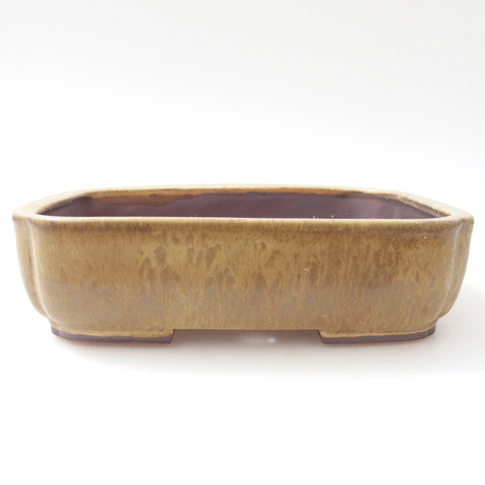 Ceramiczna miska do bonsai 17,5 x 14 x 5 cm, zielona