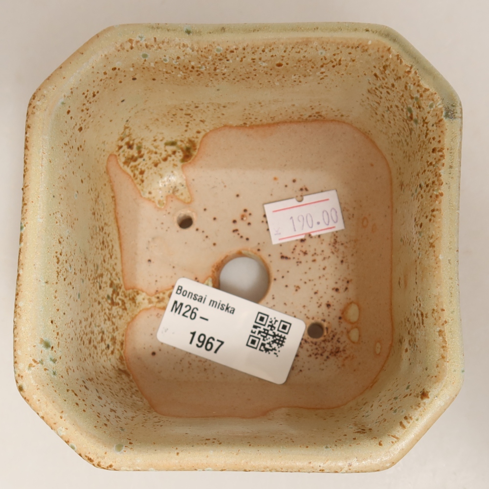 Ceramiczna miska do bonsai 10 x 10 x 6,5 cm, kolor zielony