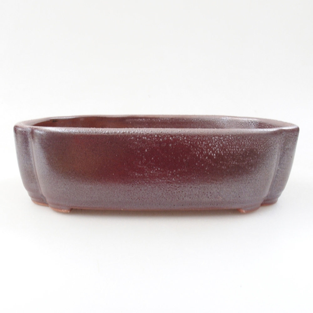 Ceramiczna miska bonsai 18 x 13 x 5 cm, kolor brązowy