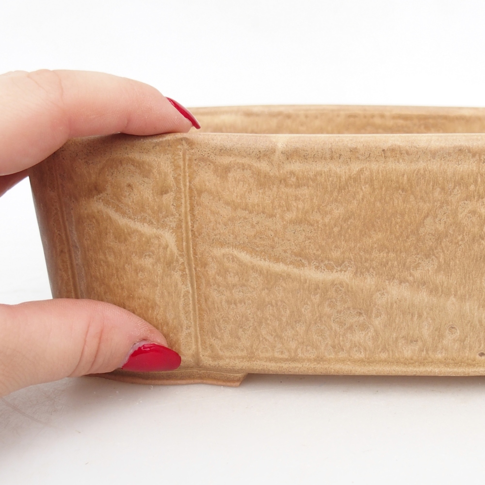 Ceramiczna miska do bonsai 20 x 17,5 x 7 cm, kolor beżowy