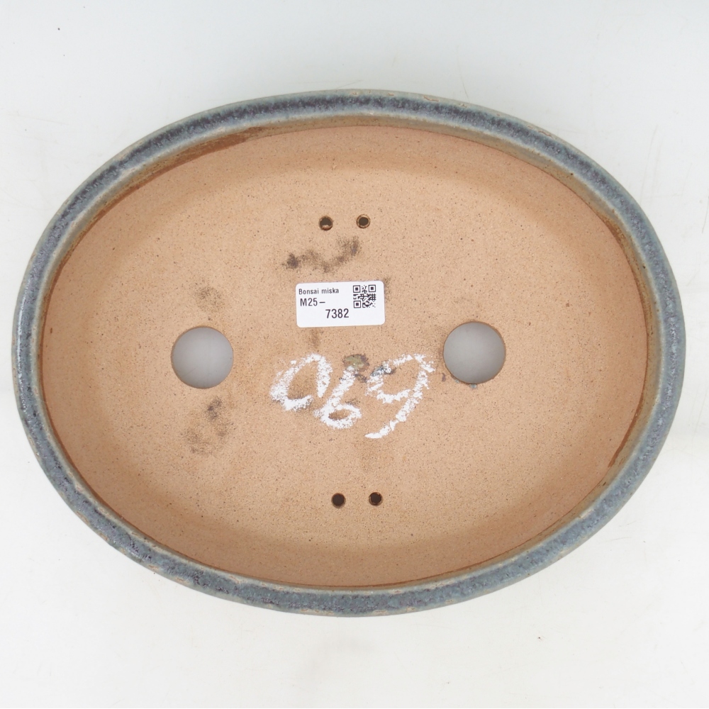Misa bonsai 27 x 21 x 7,5 cm, kolor niebieski