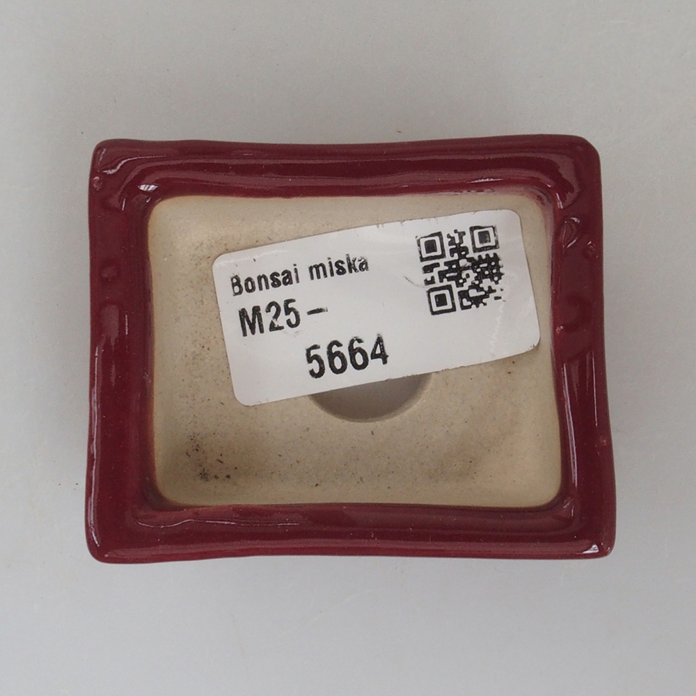 Mini miska bonsai 6 x 4,5 x 2 cm, kolor bordowy