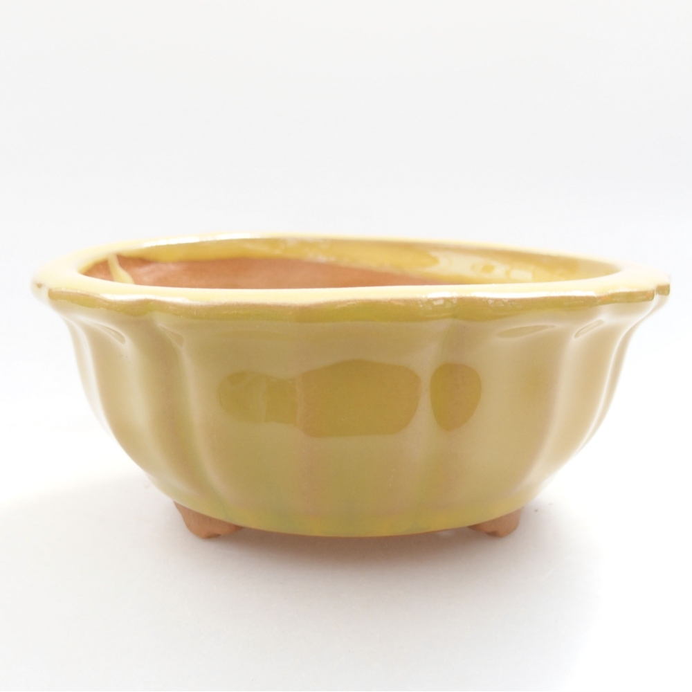 Ceramiczna miska bonsai 11,5 x 11,5 x 5 cm, kolor Żółty