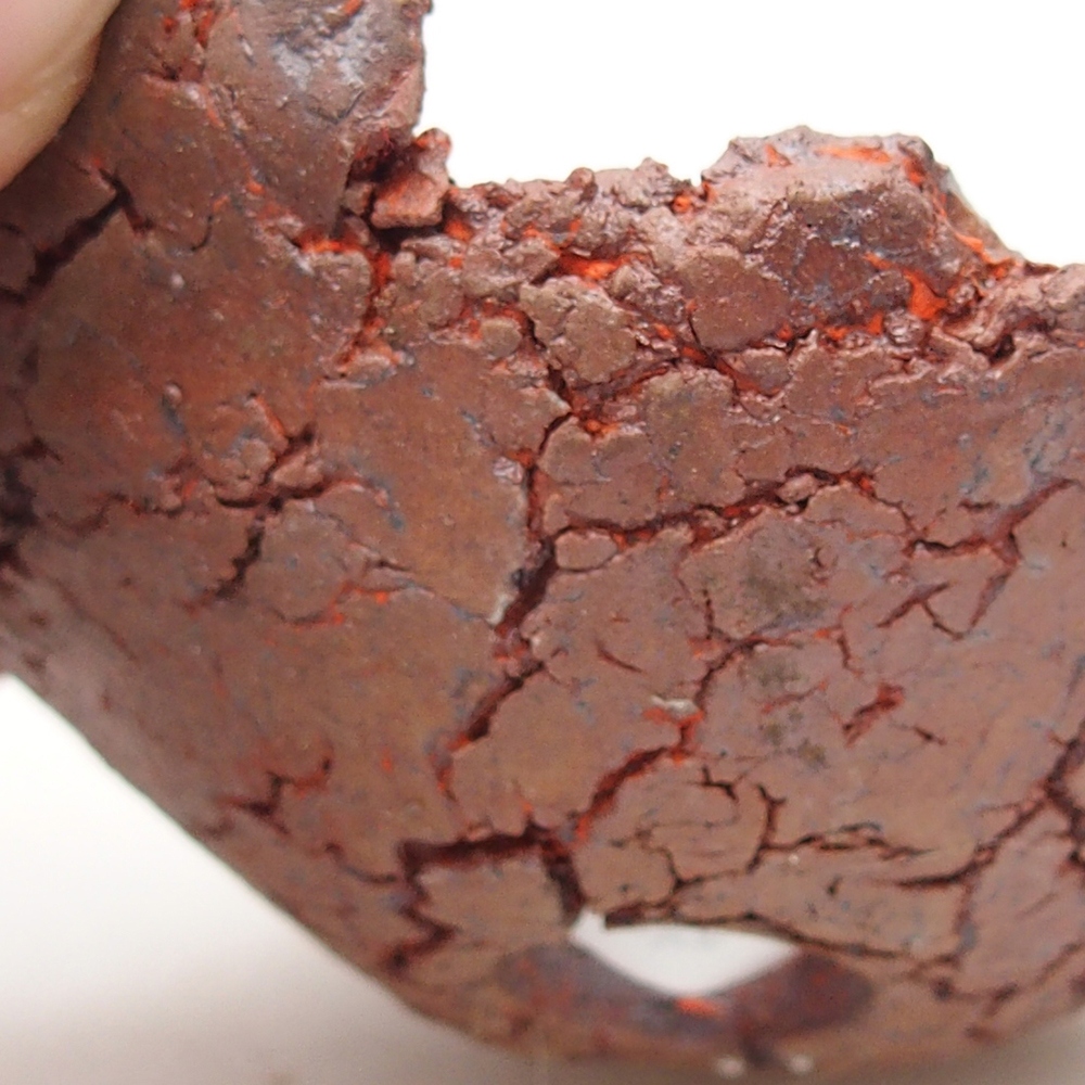 Ceramiczna muszla 7 x 7 x 3 cm, kolor pomarańczowy
