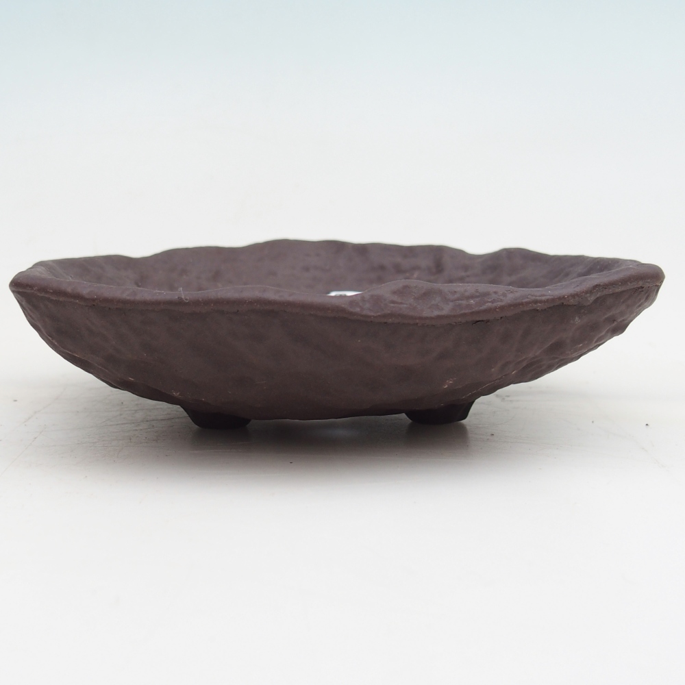 Ceramiczna muszla 15,5 x 15 x 4 cm, kolor brązowy
